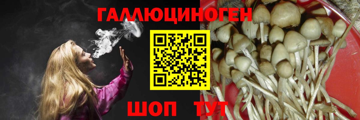 Петропавловск-Камчатский  Псилоцибиновые грибы Psilocybine cubensis  Псилоцибиновые грибы прущие грибы  Вход с VPN 